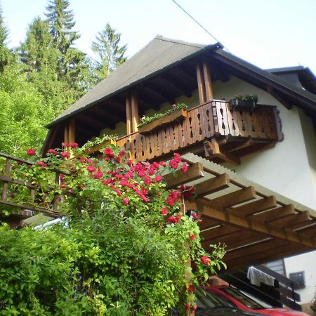 Haus Am Bach Apartment Freiburg im Breisgau Ngoại thất bức ảnh