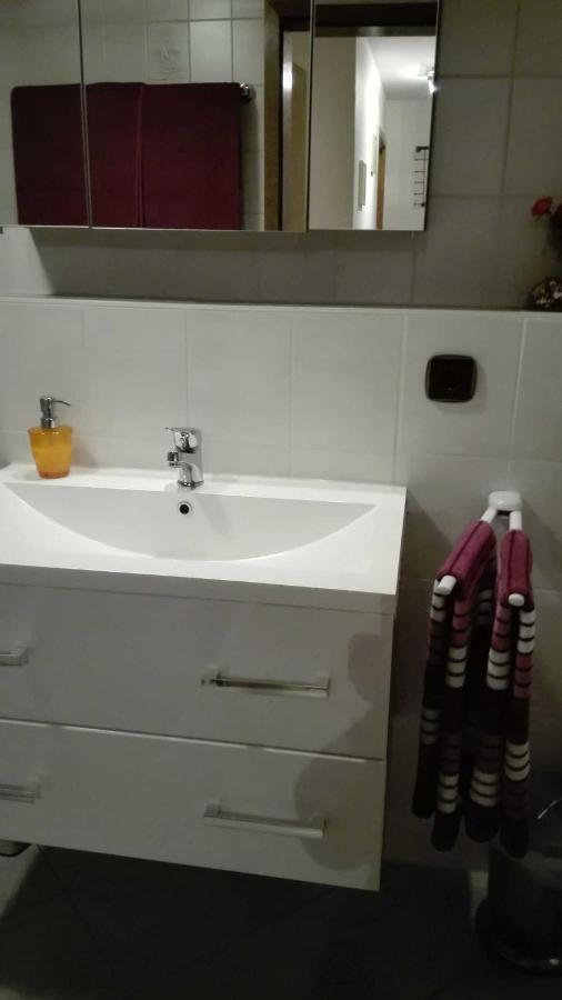 Haus Am Bach Apartment Freiburg im Breisgau Ngoại thất bức ảnh