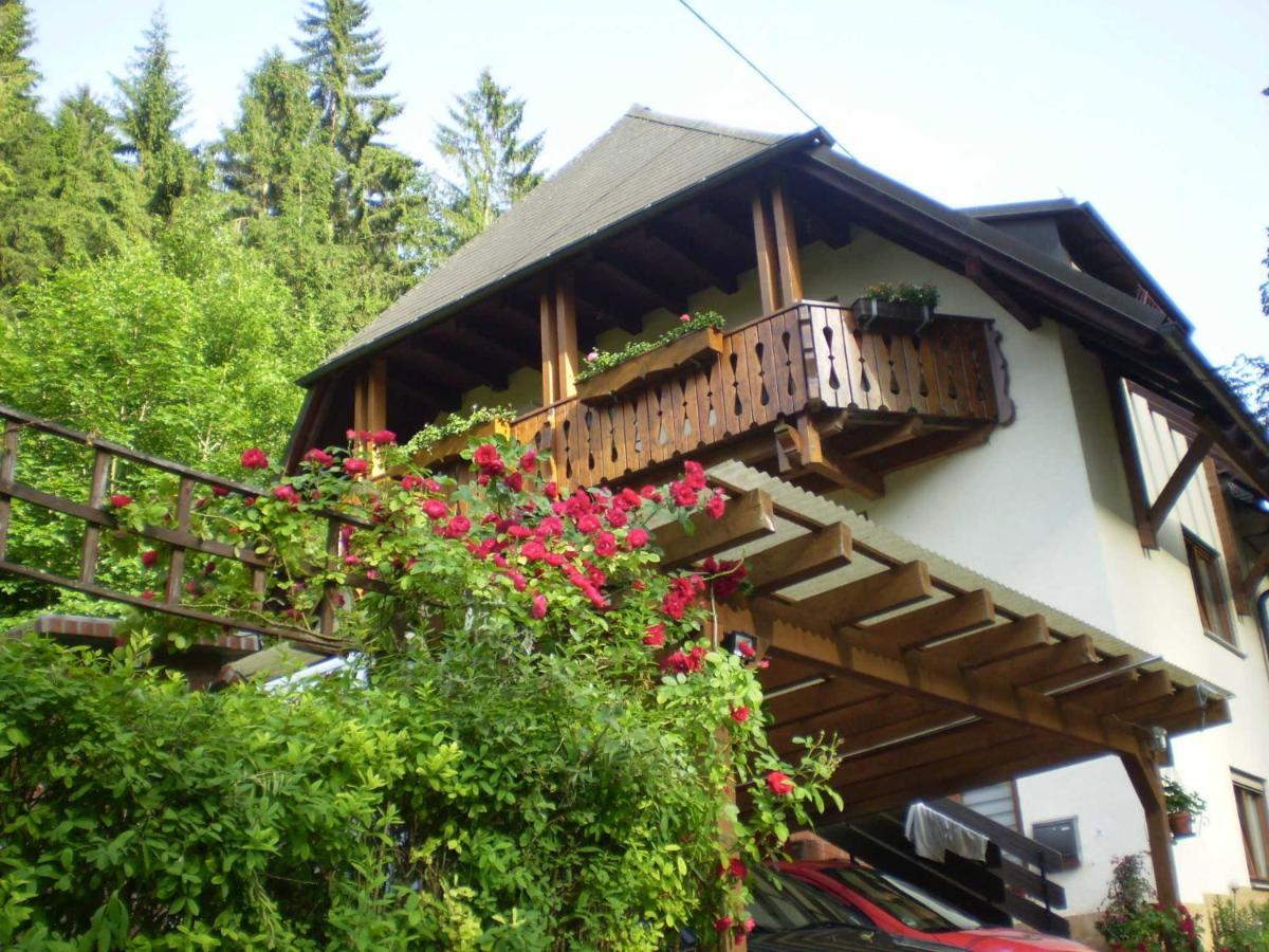 Haus Am Bach Apartment Freiburg im Breisgau Ngoại thất bức ảnh